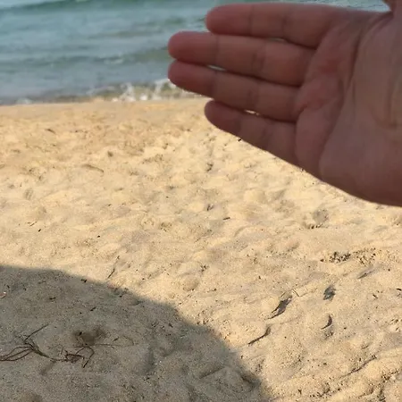 Cala Alta Apartament